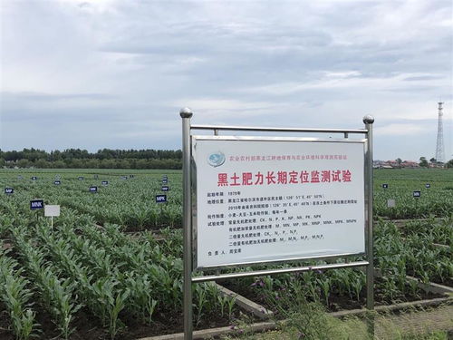 東北黑土保護利用與糧食可持續生產技術高峰論壇聚焦科技賦能，壯大保護力量