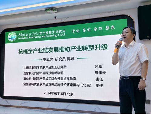 核桃產業高新科技發展研討會暨2024中國核桃產業科技創新發展大會盛大啟動